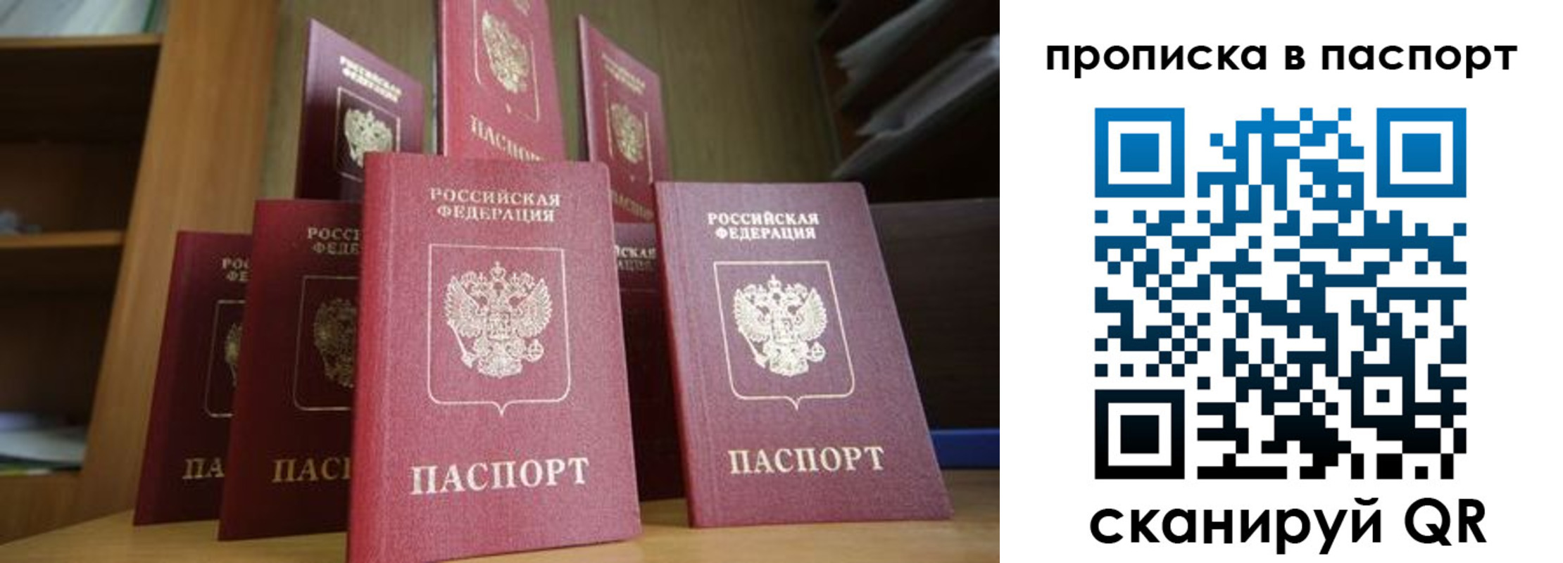 прописка законно в Михайлове